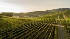 Photo credit: John Valls