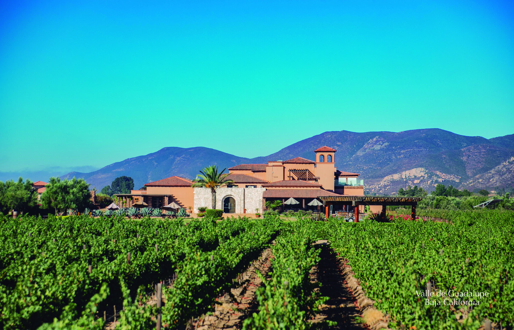 A Weekend Guide to Mexican Wine Country Monarch Wine
