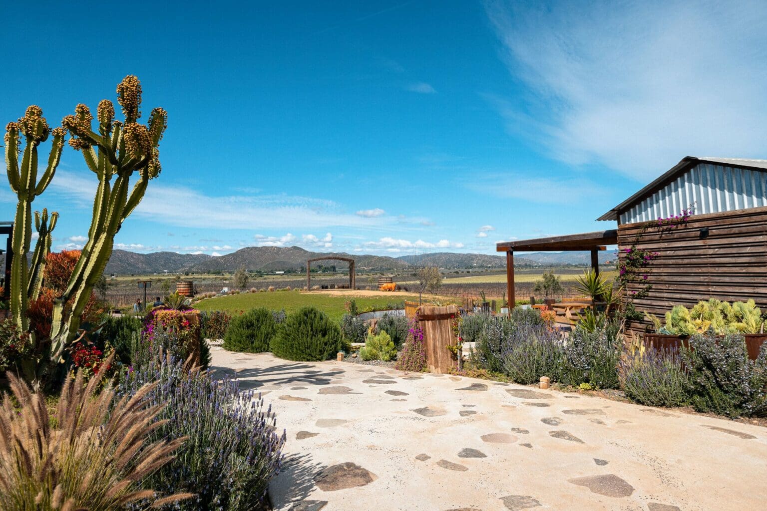 A Weekend Guide to Mexican Wine Country Monarch Wine